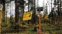 odnowienie-regla-dolnego_f